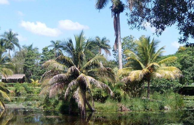 Guama and Hatiguanico River Trip - Photo 1