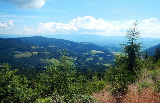 Chalet in Liebenfels Near ski Area - Foto 38