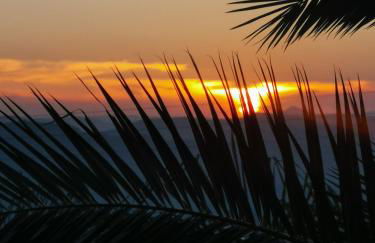 La Fattoria Dei Nonni - Foto 49