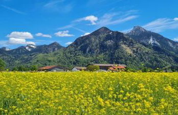 Ferienwohnung 3 - Foto 31