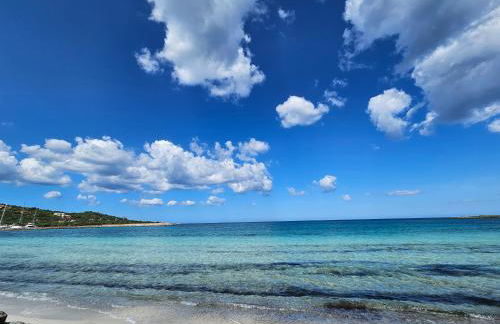 La flabellina blu - Foto 18