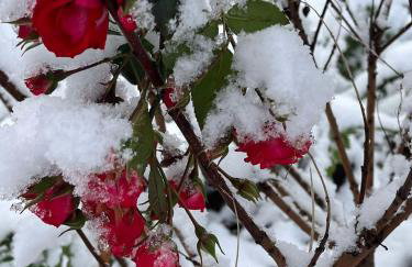 Drewniany Domek w Zakątku Andrzeje Śniczany 18 - Photo 74