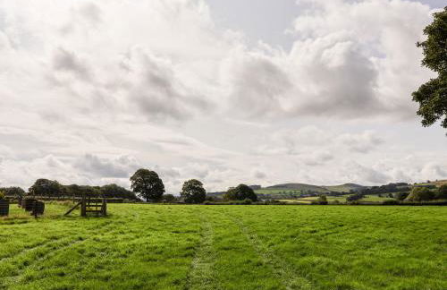 Garreg Wen - Photo 62