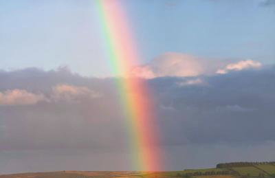 Turnpike House - Foto 75