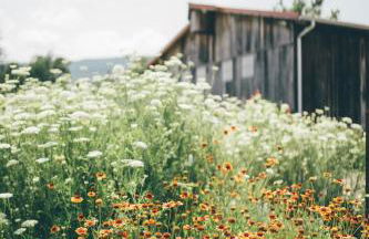 Beautiful Tree House for a Romantic Getaway on a Farm near Chattanooga Valley, Georgia - Foto 20