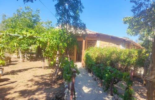 Agriturismo Casa del Contadino - Photo 9