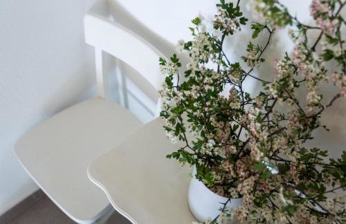 Forest Escape - Foto 34