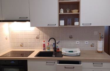 Apartmani Tomičić - Foto 55