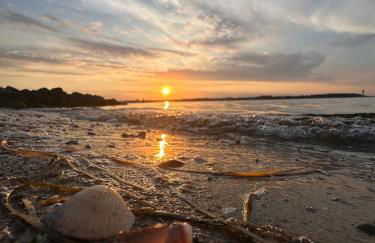 Fördeliebe - Foto 2