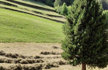 Il Maso del Nonno - Foto 46