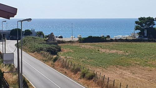 Gabbiano Jonathan - Foto 5