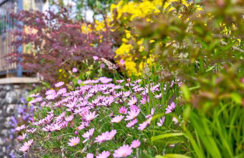 Howgills Apartments - Foto 39