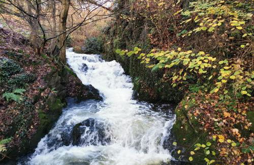 Gaishöll-Wasserfälle Apartment Schwarzwald - Foto 10