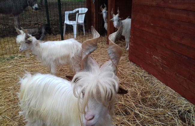 Agriturismo Specchiarussa - Foto 36