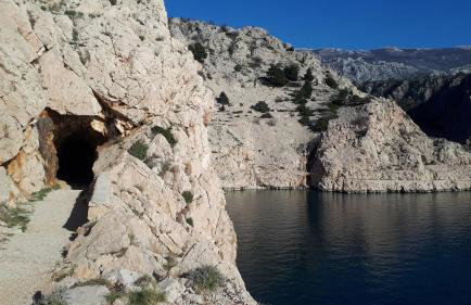 Apartments Tomas - Foto 15