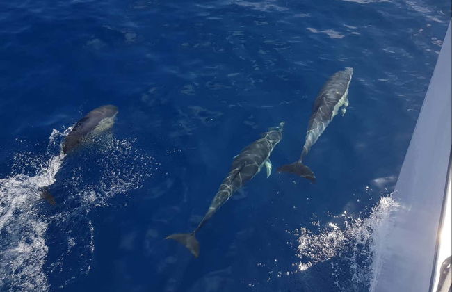 Giro in catamarano da Puerto del Carmen al tramonto - Foto 1