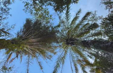 Container Vermelho na beira do rio e a poucos metros do mar com cozinha completo em mogiquiçaba bahia - Foto 22