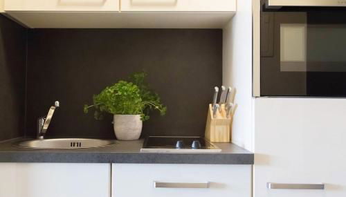 Wildgrün Mini Lodge 10 - Foto 5