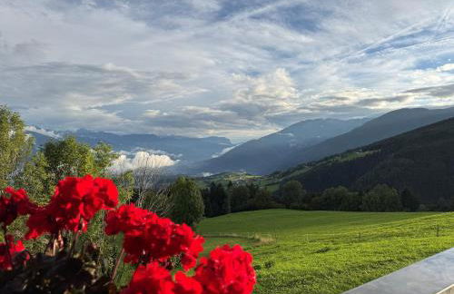 Forchnerhof Apt Rose - Foto 35