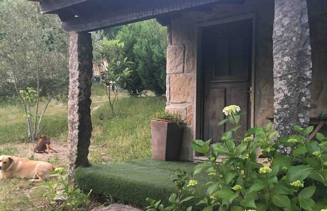 Forest House Casinha do Carvalhal - Foto 15