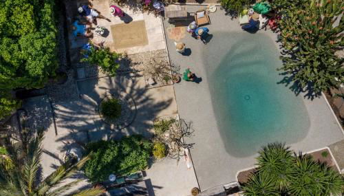 León de Sineu - Foto 2, Garden