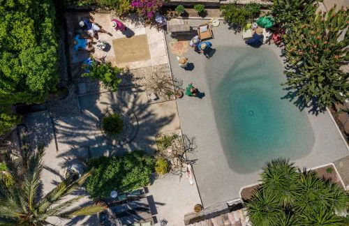 León de Sineu - Foto 2