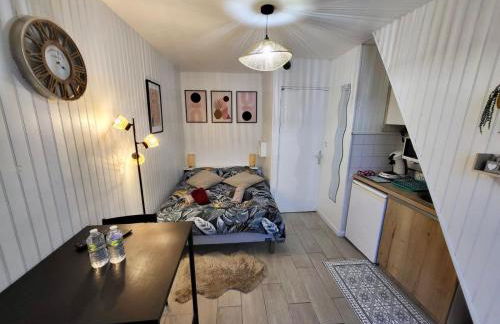 Studio cosy au cœur du quartier Saint-Pierre - Foto 2