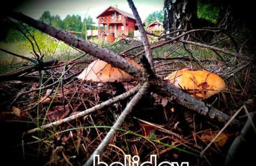 Osada nad żurawim stawem - Foto 50