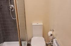 London Luxury 3 bedroom large apartment, aircon, free parking, station 4 mins walk - Foto 22