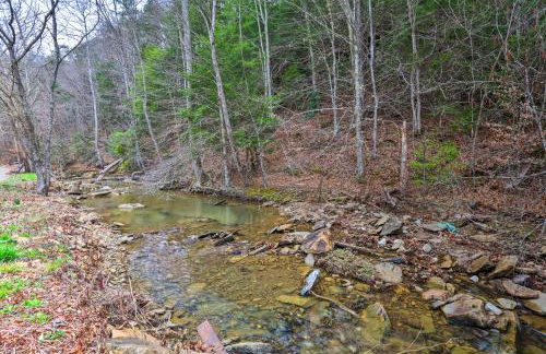 Cozy Creekside Cabin about 24 Mi to Red River! - Foto 27