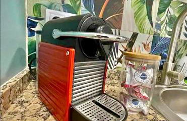 Artistic flat next to Ruzafa Welcome to the Jungle - Photo 12