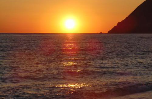 Apollon (ex. Albatros) - Foto 6