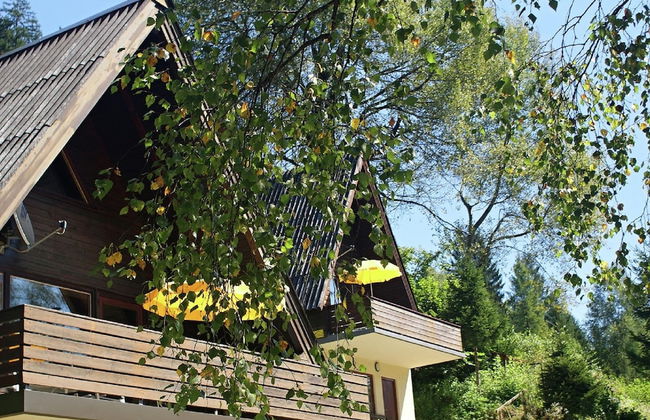 Small Pet-friendly Holiday Park With Nassfeld Card in High Season - Foto 1