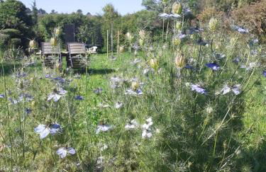 Charmante maison atypique - Foto 20