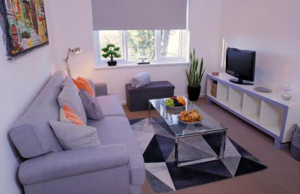 FREE parking, Central Location,1 Bedroom Apartment near Tattersalls - Foto 15