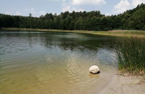 Smocze Ranczo - Foto 75