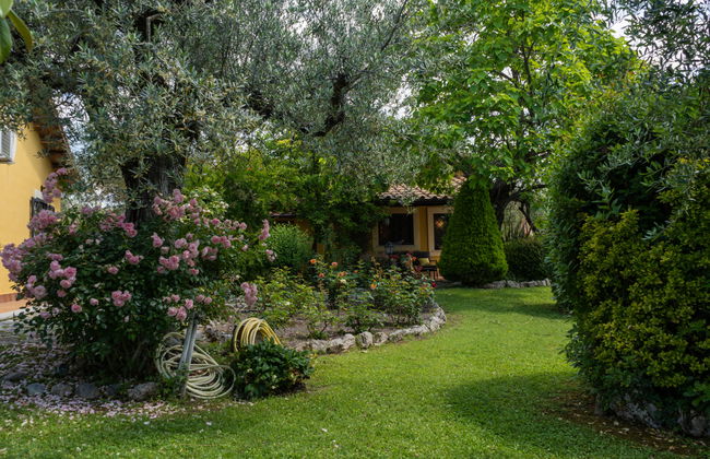 Olive Grove Sabina - Foto 27