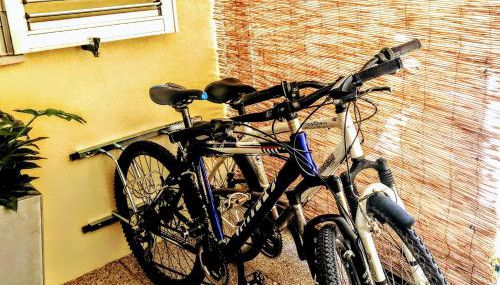 Passadiços da Ria - Foto 3