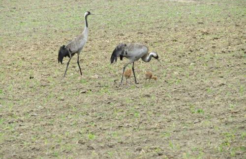 Holiday Apartment Hammann - Foto 27