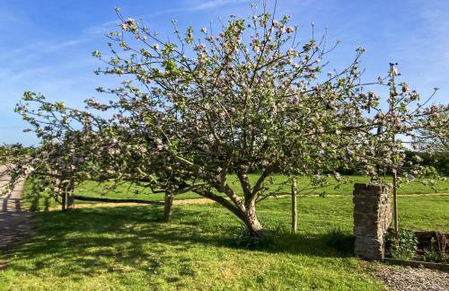 Willow Lodge - Foto 13