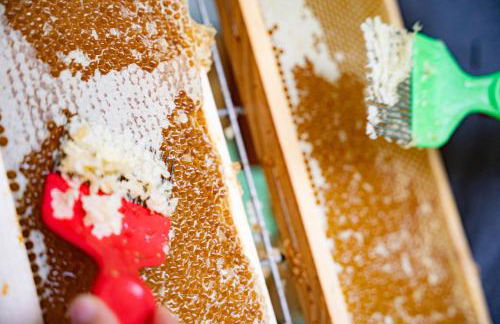 La casa di Maia - Alloggio Agrituristico - Foto 30