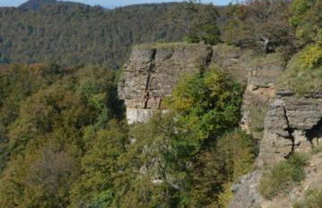 Rose Garden - Foto 36