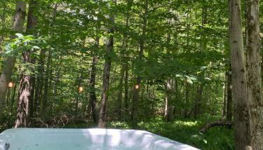 Chic Cabin with Hot Tub and Fire Pit - Foto 2