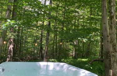 Chic Cabin with Hot Tub and Fire Pit - Foto 2