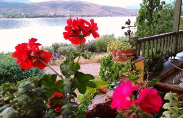 Aphrodite's Coast Retreat House! - Photo 50