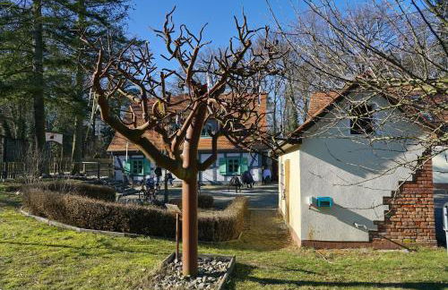 Ferienwohnung 3 - Gourmetzimmer - Foto 5