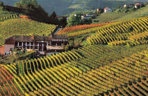 Il Grappolo In Langa - Foto 12