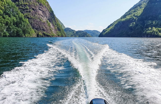 Ørviksnes - Photo 5