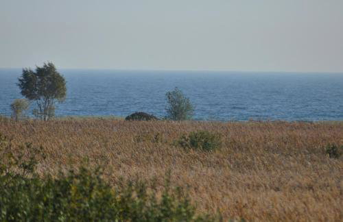 Willa Dobryłko II -Apartamenty - Foto 15