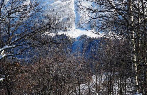 Chalet montagne Savoie Domaine Skiable Valmorel - Foto 36